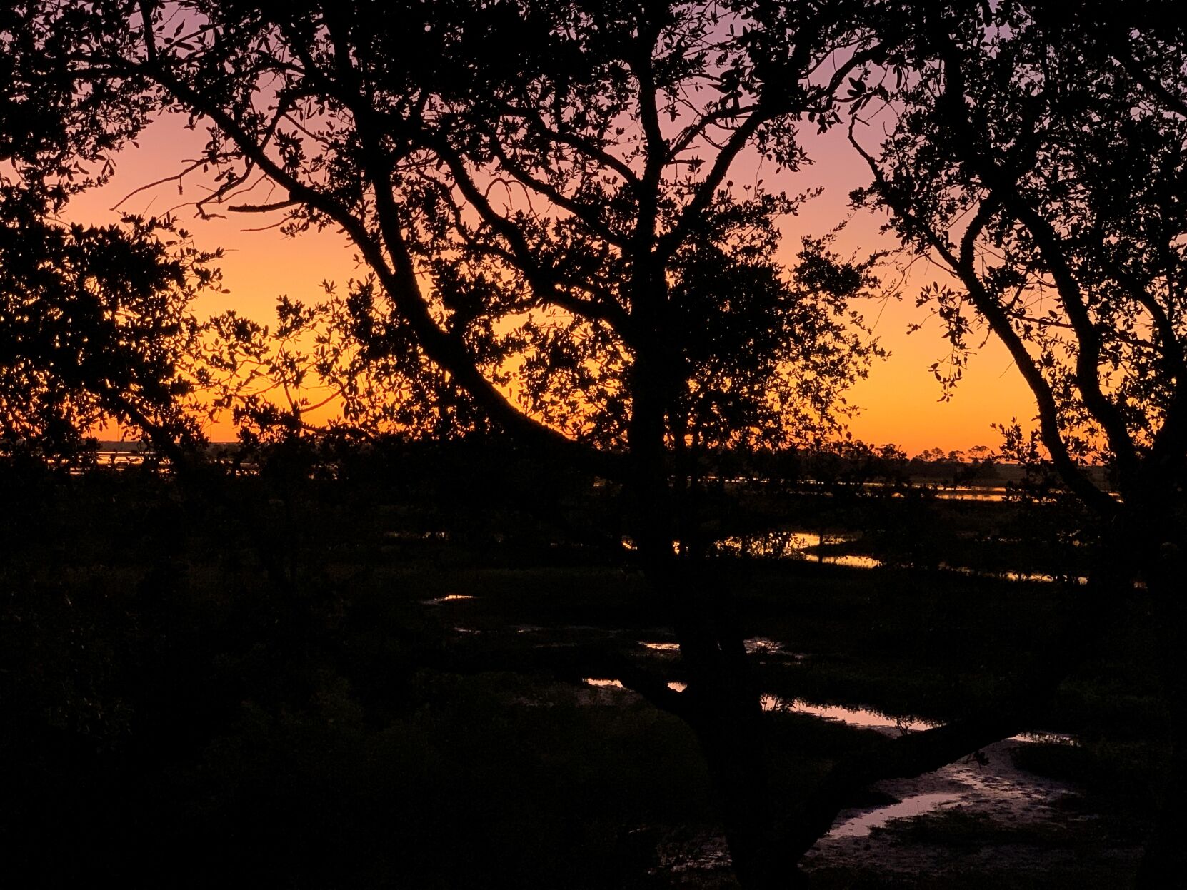 Marsh at sunrise in Mount Pleasant